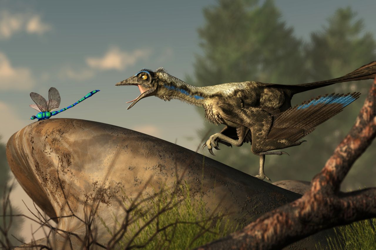 archaeopteryx-na-lovu